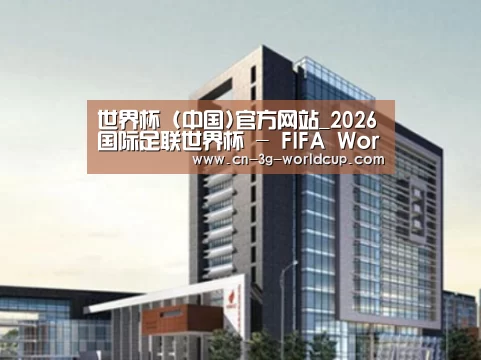 世界杯案例展示四